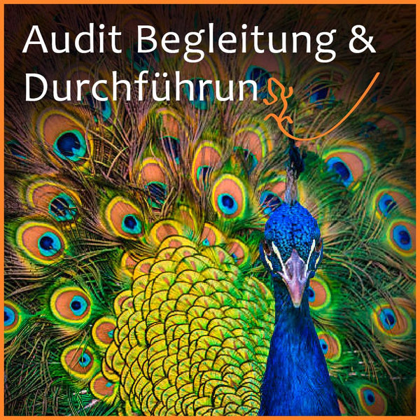 Compliance Audit Allgemein | Auditierung | Ein Beratertag